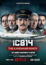 IC 814: The Kandahar Hijack