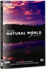 The Natural World