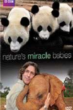 Natures Miracle Babies