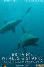 Britain's Whales and Sharks