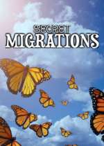 Secret Migrations