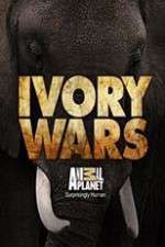 Ivory Wars