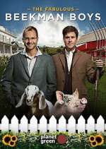 Watch The Fabulous Beekman Boys 123movies