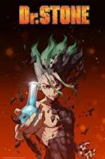 Dr. Stone