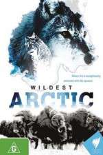 Wildest Arctic