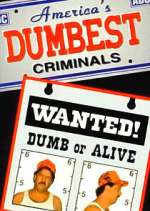 Watch America\'s Dumbest Criminals 123movies