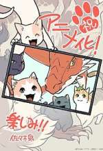 Watch The Cat and the Dragon 123movies