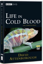 Life in Cold Blood