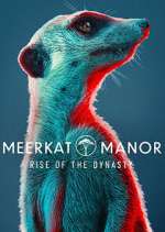 Meerkat Manor: Rise of the Dynasty