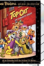 Top Cat