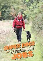 Super Dogs with Extraordinary Jobs