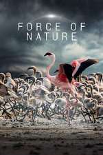Watch Force of Nature Season 1 Episode 1 123movies