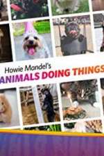 Howie Mandel\'s Animals Doing Things