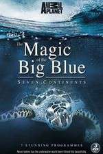 The Magic of the Big Blue