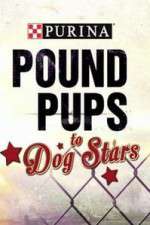 Purina Pound Pups To Dog Stars