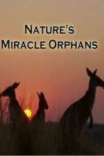 Nature's Miracle Orphans