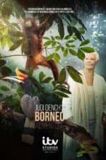 Judi Dench\'s Wild Borneo Adventure