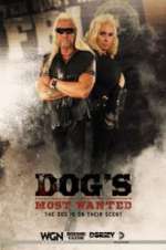 Dog\'s Most Wanted