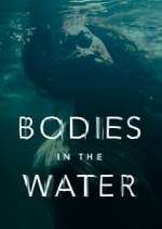 Bodies in the Water