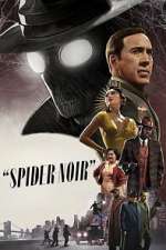 Watch Spider-Noir 123movies
