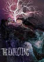 Watch The Expecting 123movies