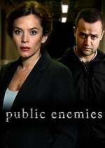 Public Enemies