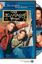 The Wayans Bros