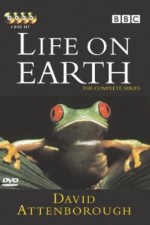 Life on Earth