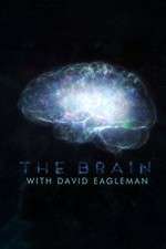 The Brain with Dr David Eagleman